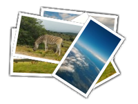 Addo-PortElisabeth album picture