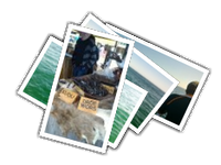 Hermanus-Agulhas album picture
