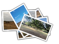 Kruger album picture
