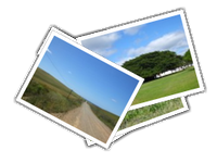 DeHoop album picture