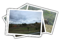 Hluhluwe-iMfolozi album picture