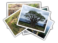 Mpumalanga-Graskop album picture