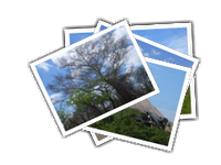 Swaziland album picture