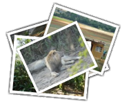 SouthAfrica-2015 album picture