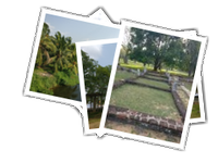 Anuradhapura album picture