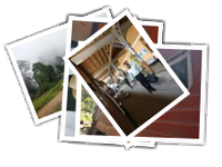 Nuwara Eliya-Ella album picture