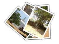 Polonnaruwa album picture