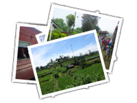 Nuwara Eliya-Ella album picture