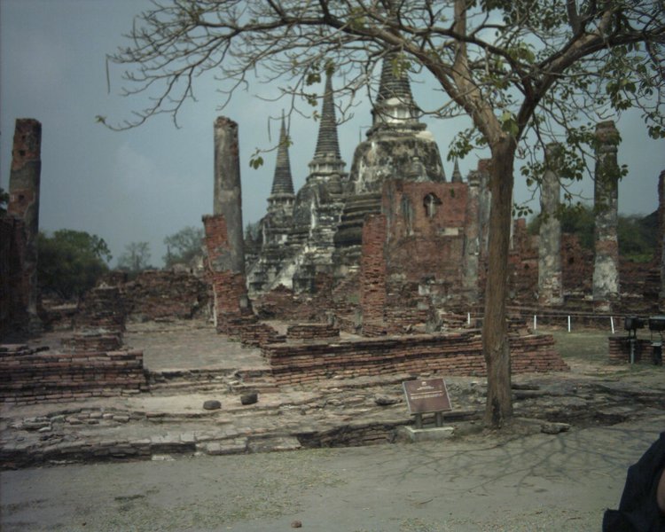 Image aaaa0005.jpg