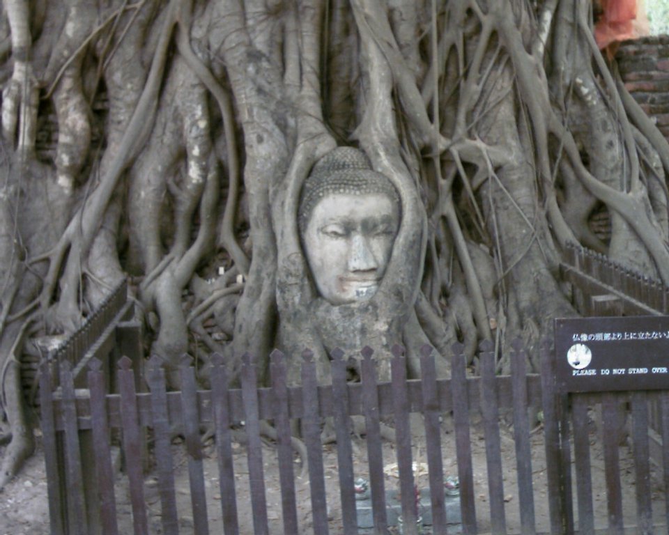 Image aaaa0009.jpg