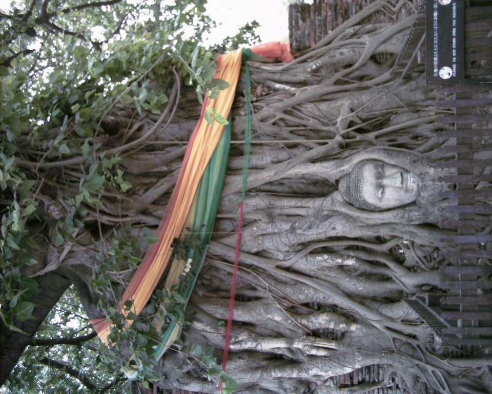 Image aaaa0010.jpg