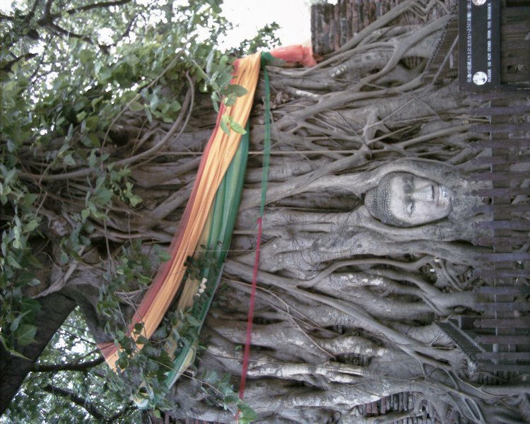 Image aaaa0010.jpg