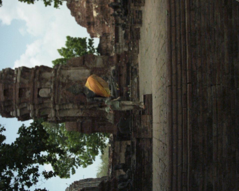 Image aaaa0011.jpg