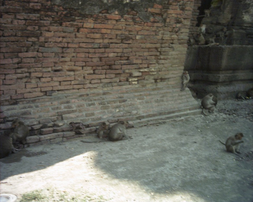 Image aaaa0015.jpg