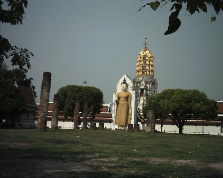 Image aaaa0031.jpg