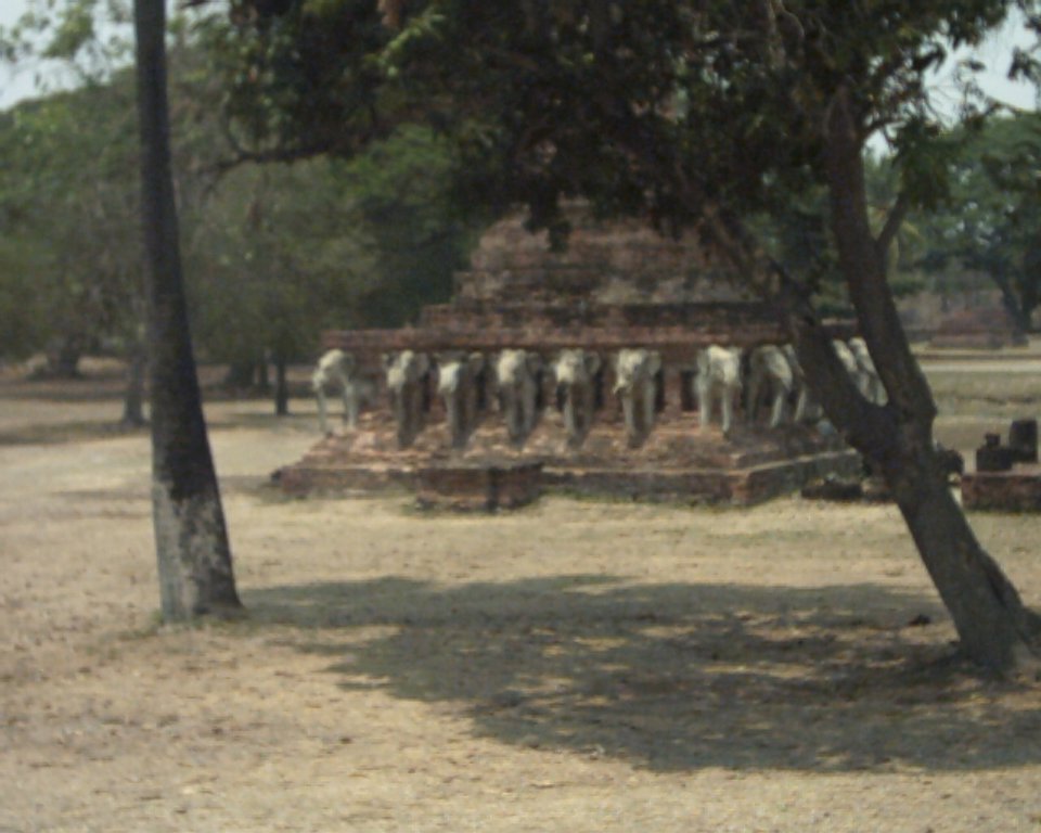 Image aaaa0045.jpg
