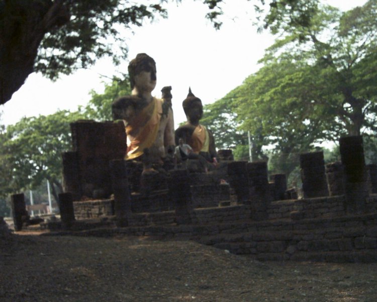 Image aaaa0050.jpg