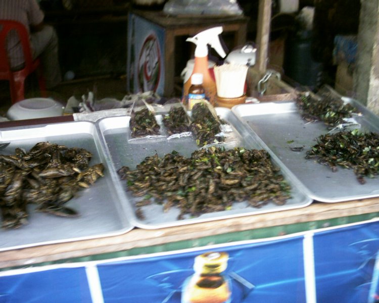 Image aaaa0059.jpg