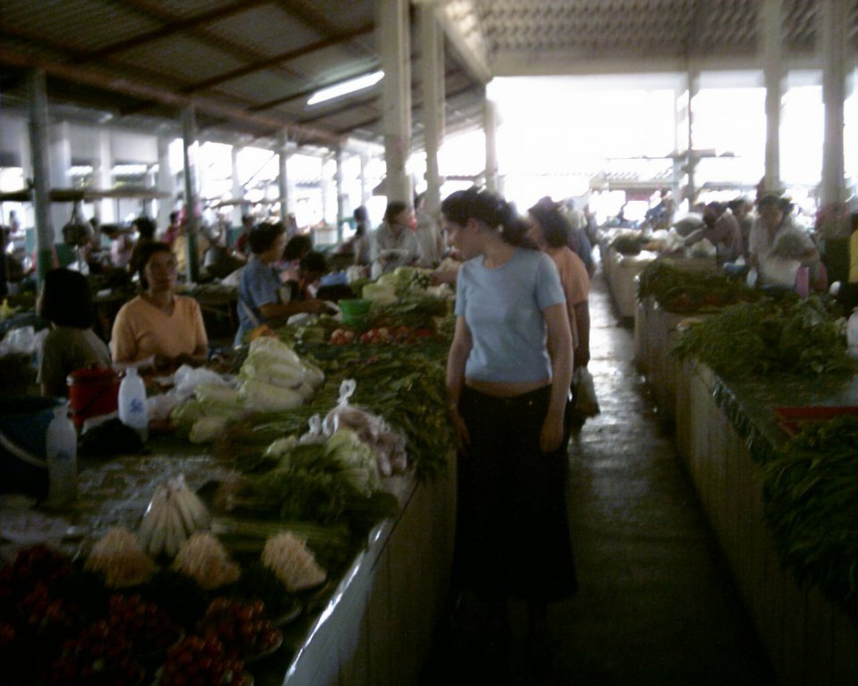 Image aaaa0061.jpg