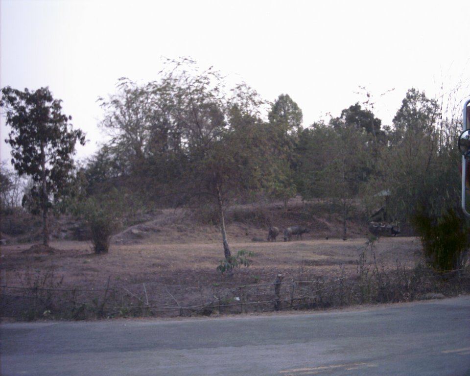 Image aaaa0064.jpg