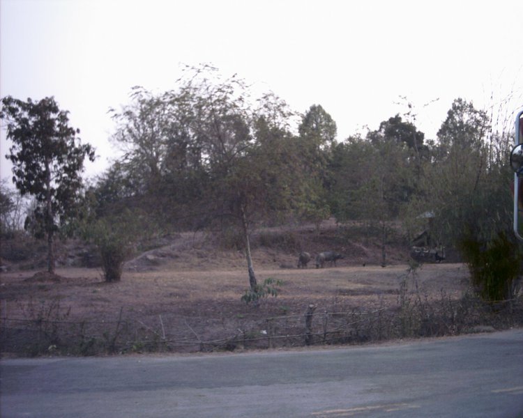 Image aaaa0064.jpg