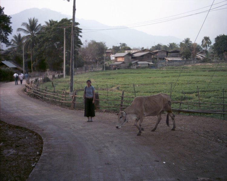 Image aaaa0066.jpg