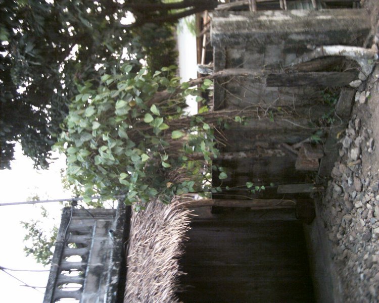 Image aaaa0069.jpg