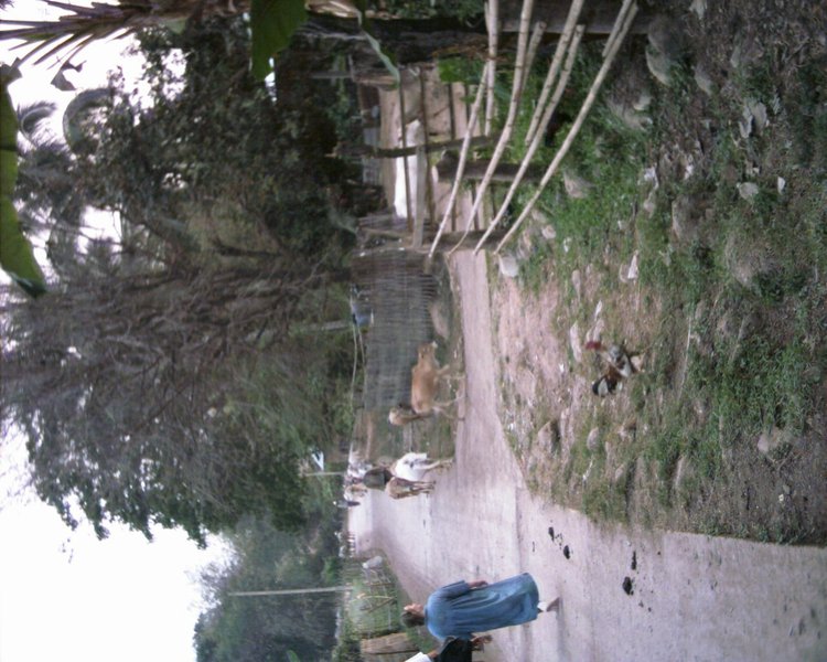 Image aaaa0070.jpg