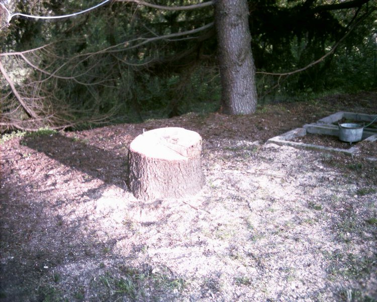 Image aaaa0077.jpg