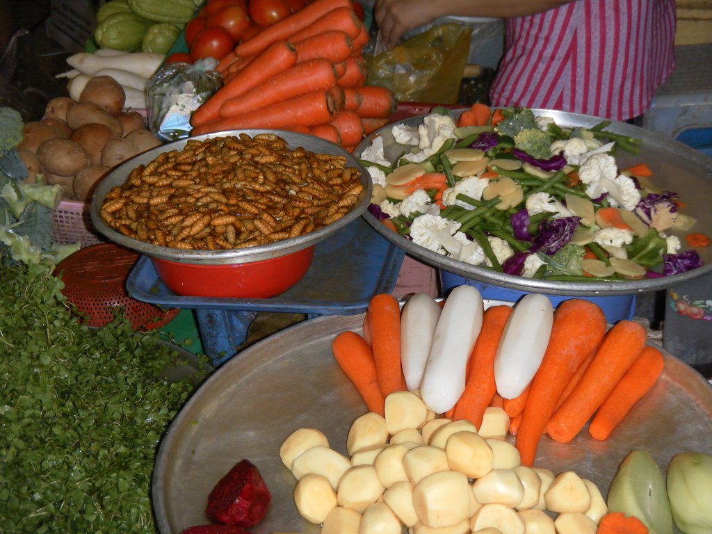 Image SAM_2108.JPG