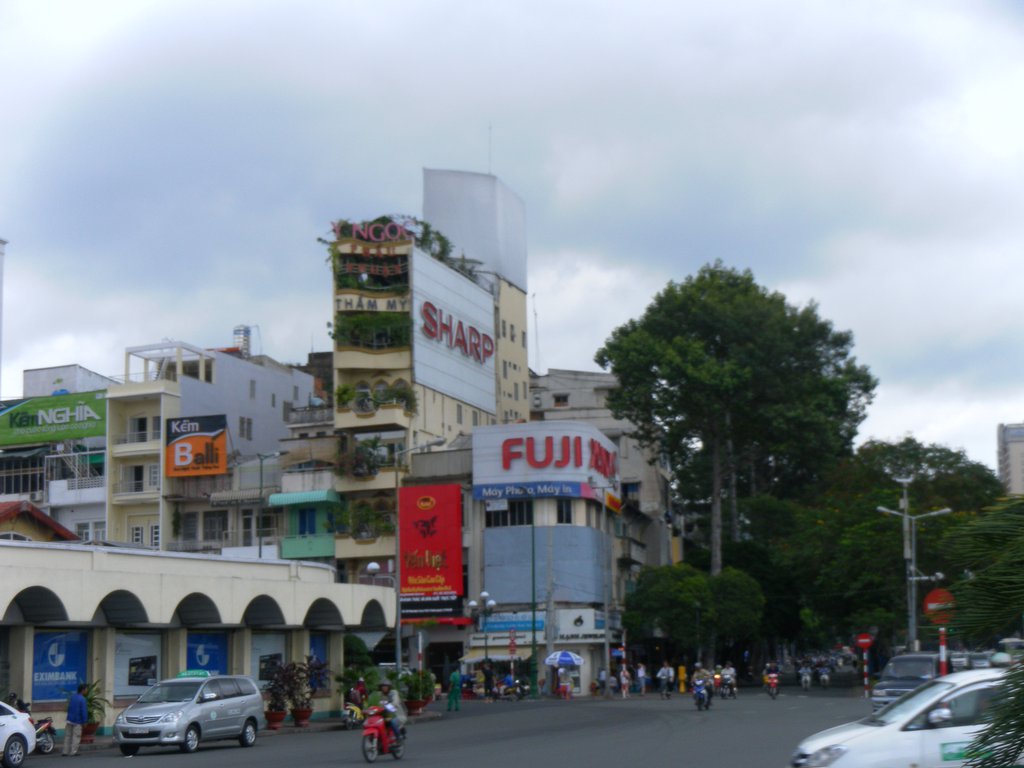 Image SAM_2115.JPG