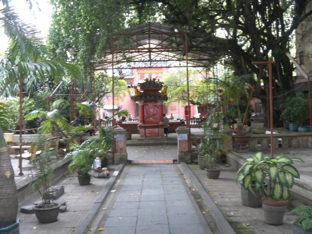 Image SAM_2118.JPG