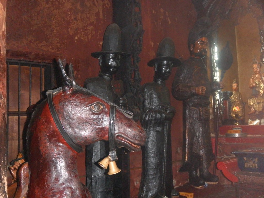 Image SAM_2134.JPG