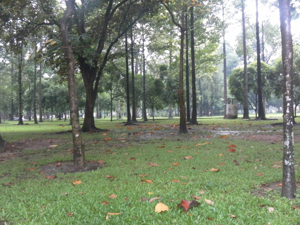 Image SAM_2144.JPG