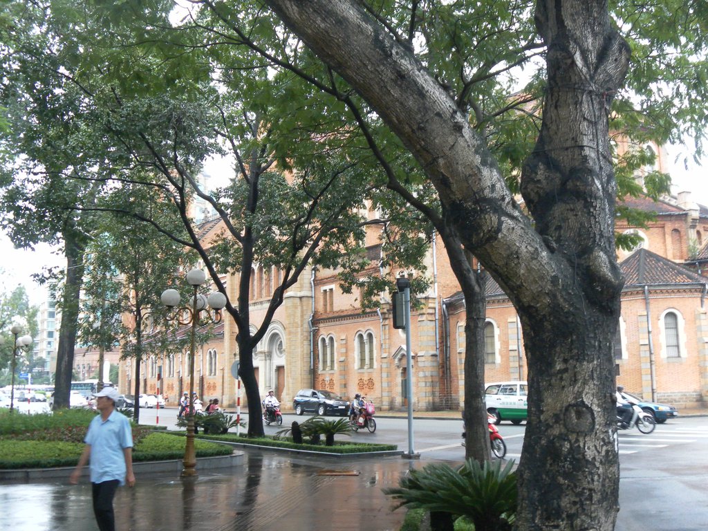 Image SAM_2170.JPG