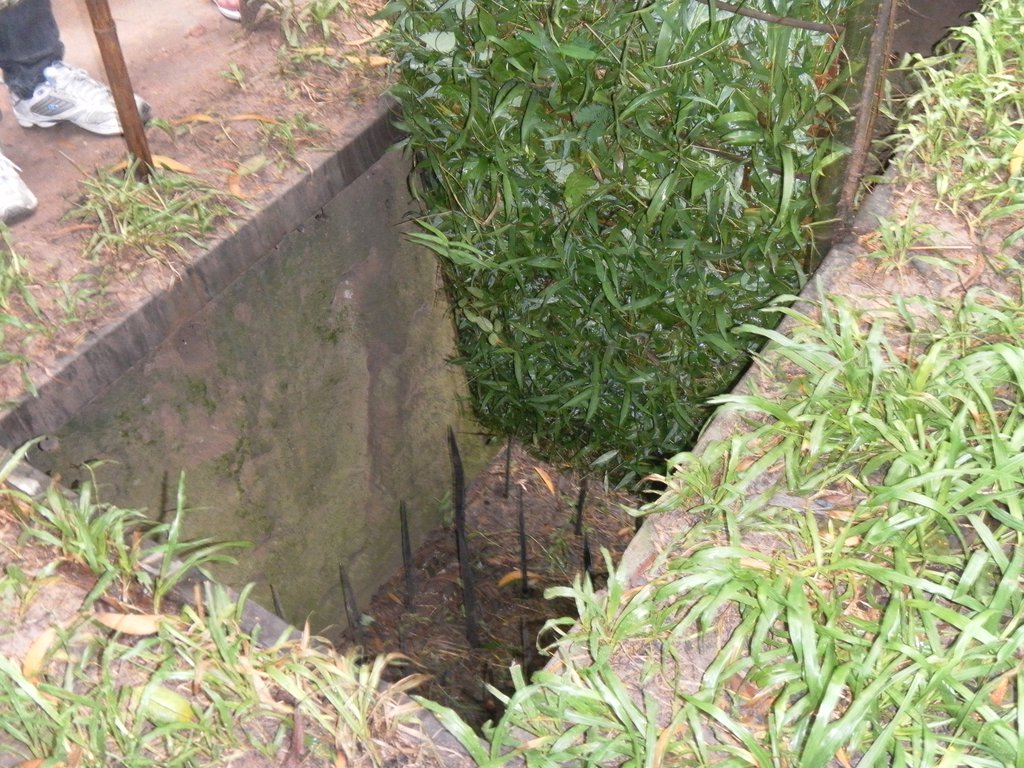 Image SAM_2197.JPG