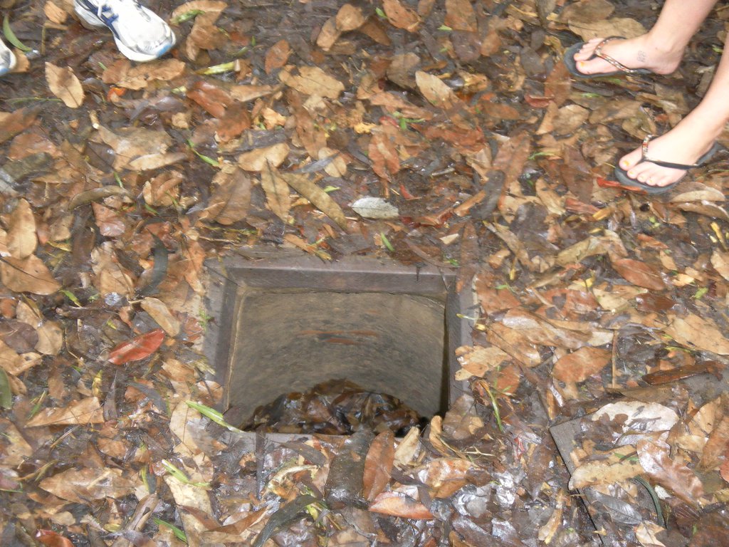 Image SAM_2199.JPG