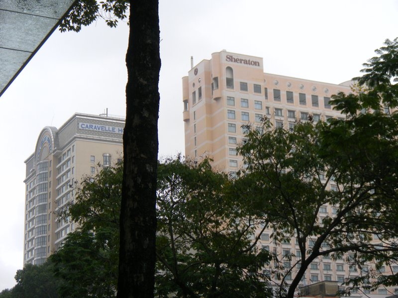 Image SAM_2433.JPG