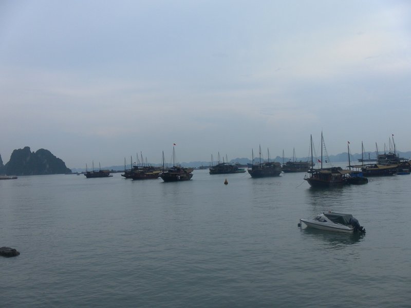 Image SAM_1252.JPG