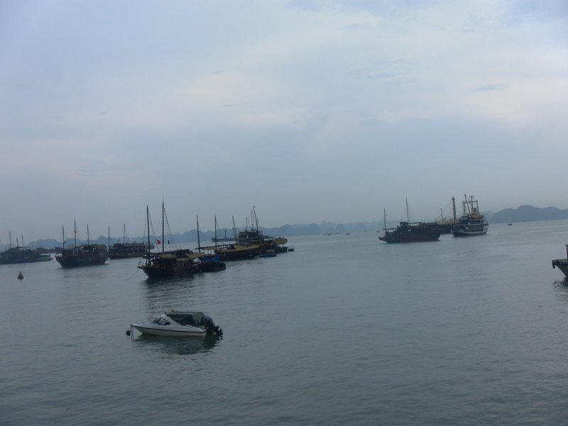 Image SAM_1253.JPG