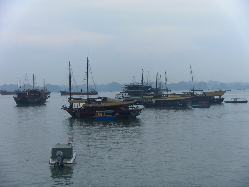 Image SAM_1254.JPG