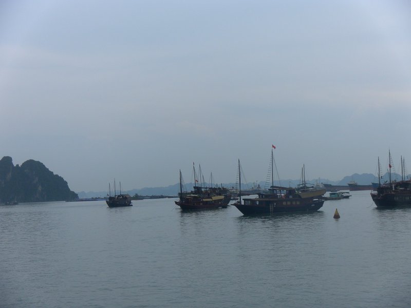 Image SAM_1255.JPG