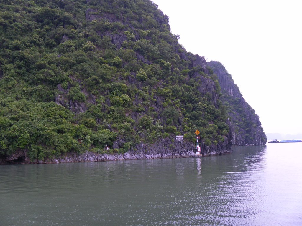 Image SAM_1263.JPG