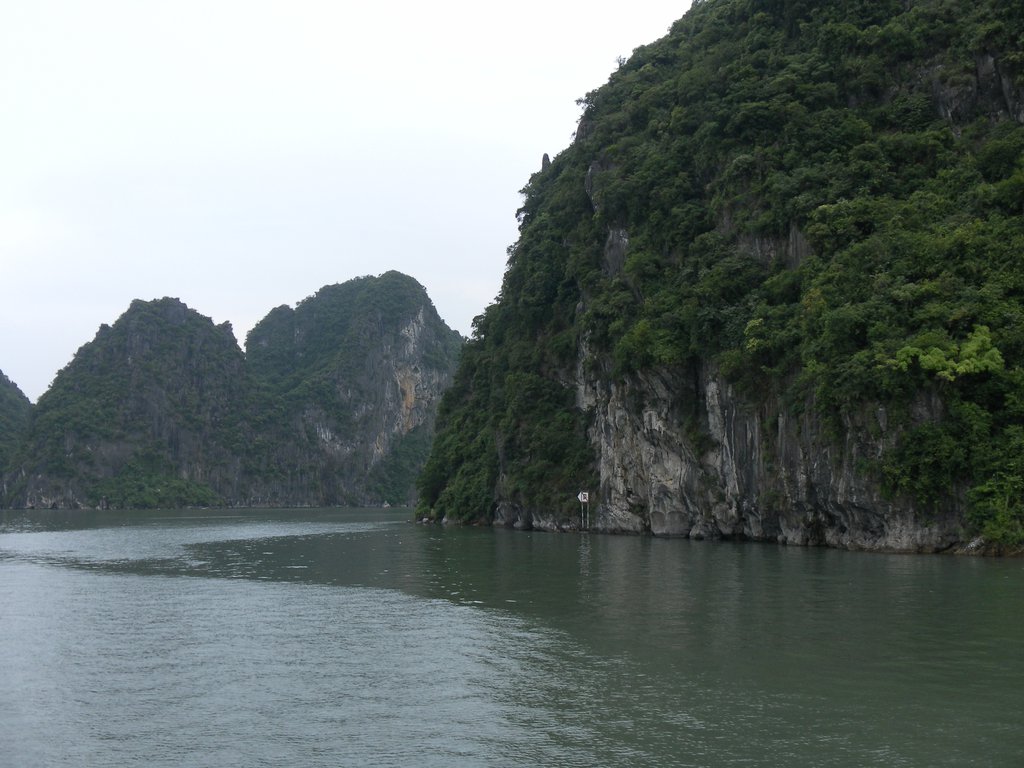 Image SAM_1264.JPG