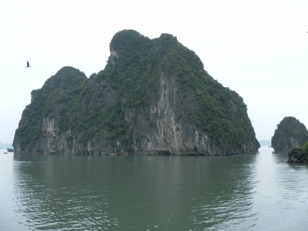 Image SAM_1267.JPG