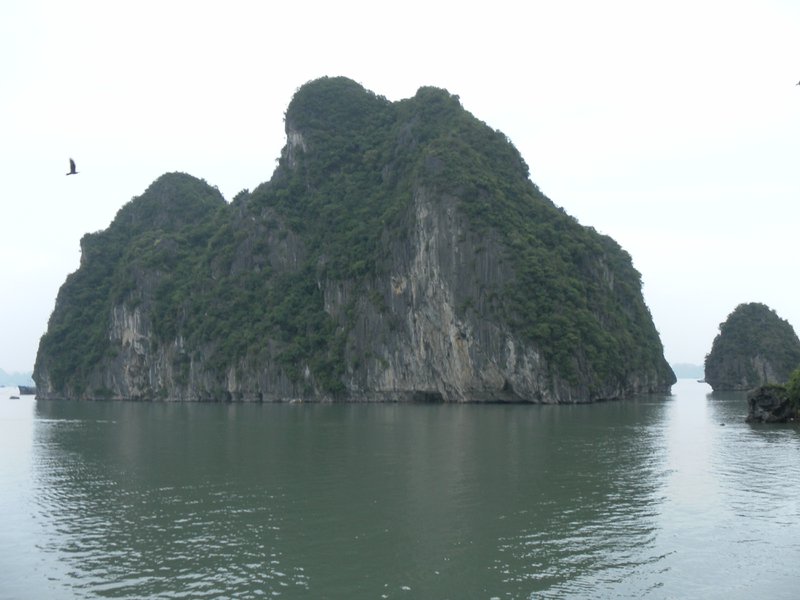 Image SAM_1267.JPG