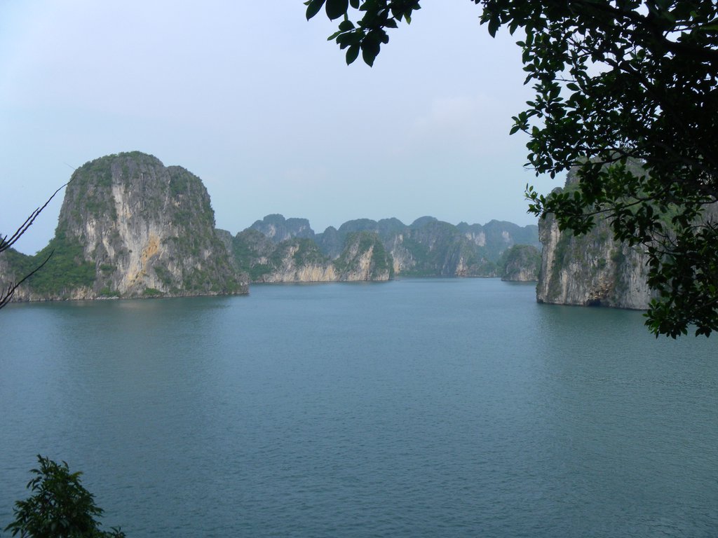 Image SAM_1303.JPG