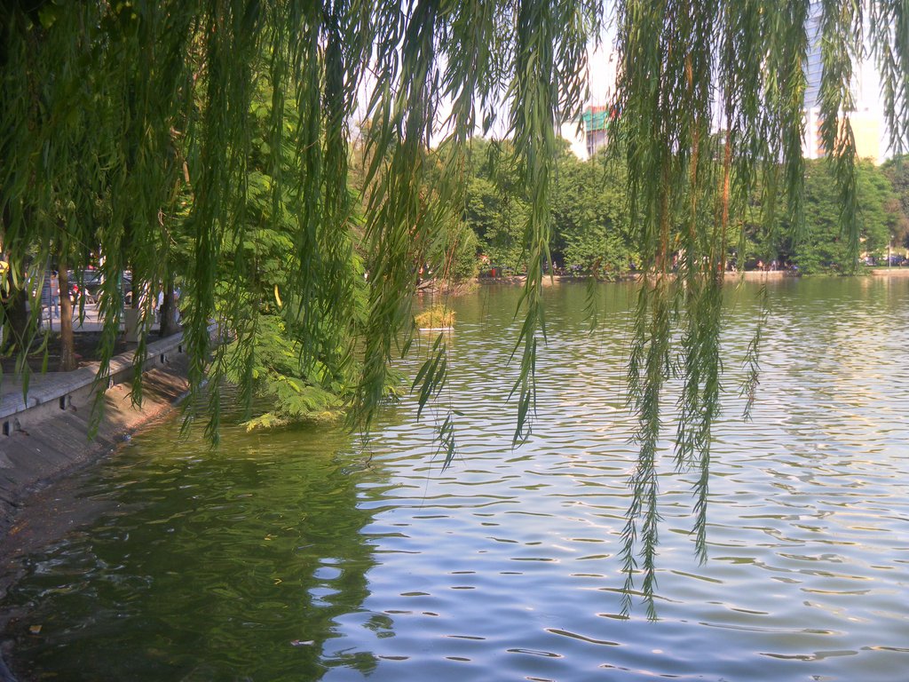 Image SAM_0913.JPG