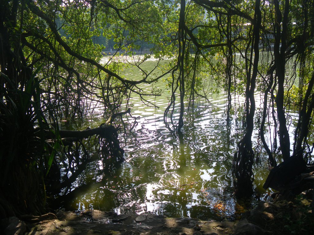 Image SAM_0921.JPG