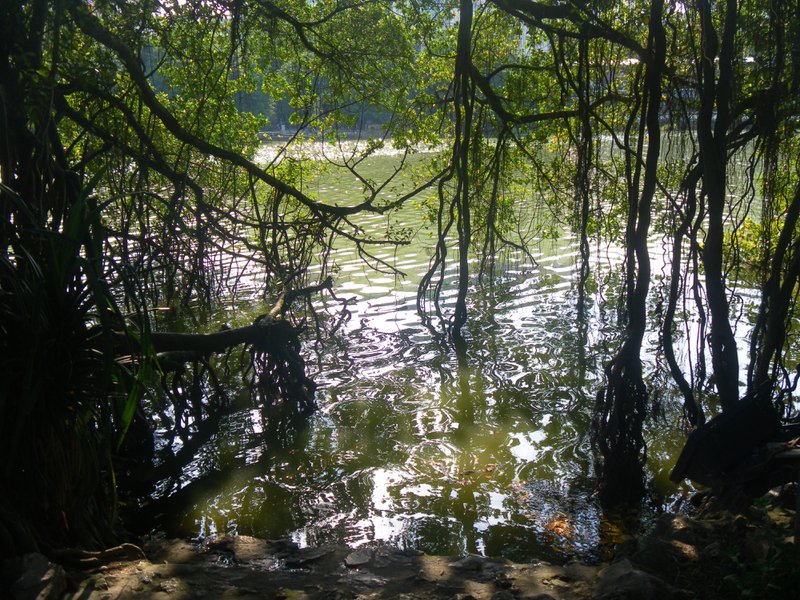 Image SAM_0921.JPG